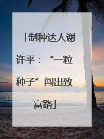 制种达人谢许平：“一粒种子”闯出致富路