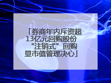 券商年内斥资超13亿元回购股份 “注销式”回购显市值管理决心