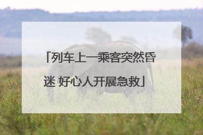列车上一乘客突然昏迷 好心人开展急救