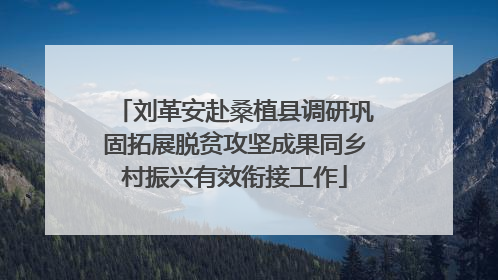 刘革安赴桑植县调研巩固拓展脱贫攻坚成果同乡村振兴有效衔接工作