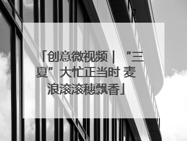 创意微视频｜“三夏”大忙正当时 麦浪滚滚穗飘香