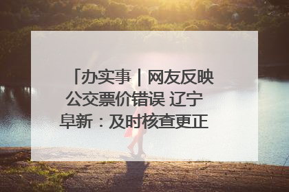办实事｜网友反映公交票价错误 辽宁阜新：及时核查更正 加强实时巡检