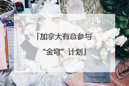 加拿大有意参与“金穹”计划