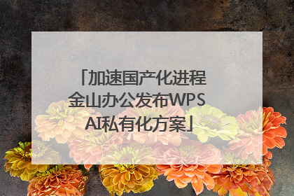 加速国产化进程 金山办公发布WPS AI私有化方案
