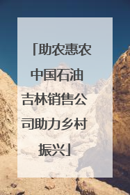 助农惠农 中国石油吉林销售公司助力乡村振兴
