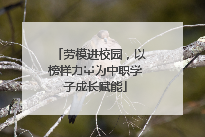 劳模进校园，以榜样力量为中职学子成长赋能
