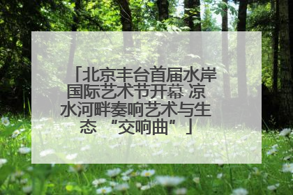 北京丰台首届水岸国际艺术节开幕 凉水河畔奏响艺术与生态 “交响曲”