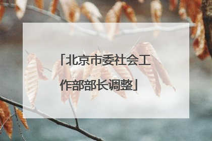 北京市委社会工作部部长调整