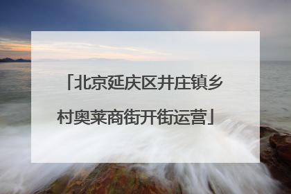 北京延庆区井庄镇乡村奥莱商街开街运营