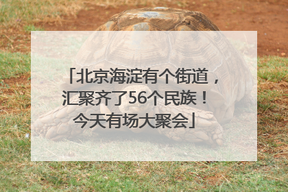 北京海淀有个街道，汇聚齐了56个民族！今天有场大聚会