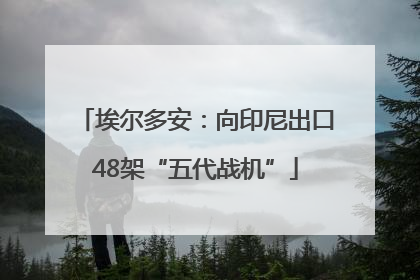 埃尔多安：向印尼出口48架“五代战机”