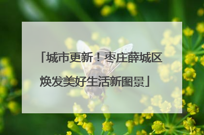 城市更新！枣庄薛城区焕发美好生活新图景