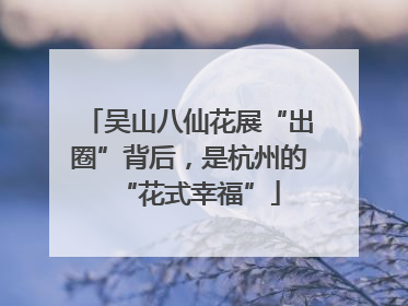 吴山八仙花展“出圈”背后，是杭州的“花式幸福”