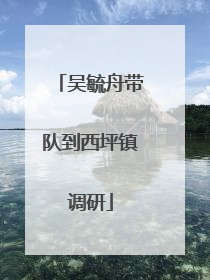 吴毓舟带队到西坪镇调研