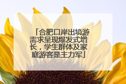 合肥口岸出境游需求呈现爆发式增长，学生群体及家庭游客是主力军