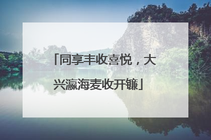 同享丰收喜悦，大兴瀛海麦收开镰