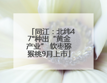 同江：北纬47°种出“黄金产业” 软枣猕猴桃9月上市