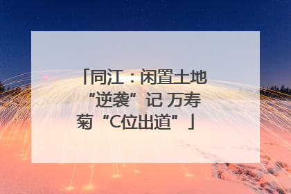 同江：闲置土地“逆袭”记 万寿菊“C位出道”