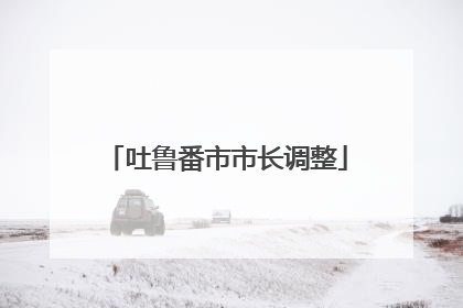 吐鲁番市市长调整