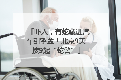 吓人，有蛇藏进汽车引擎盖！北京9天接9起“蛇警”