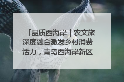 品质西海岸｜农文旅深度融合激发乡村消费活力，青岛西海岸新区的乡村振兴实践