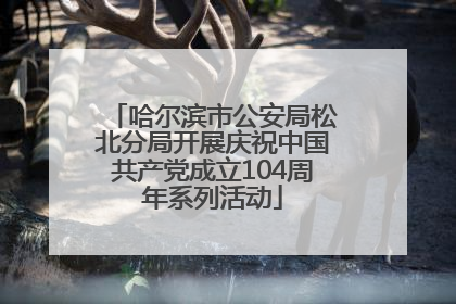 哈尔滨市公安局松北分局开展庆祝中国共产党成立104周年系列活动