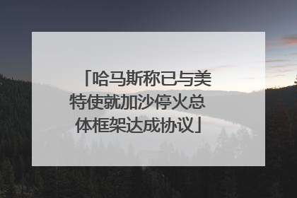 哈马斯称已与美特使就加沙停火总体框架达成协议