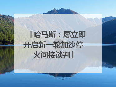 哈马斯：愿立即开启新一轮加沙停火间接谈判