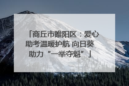 商丘市睢阳区：爱心助考温暖护航 向日葵助力“一举夺魁”