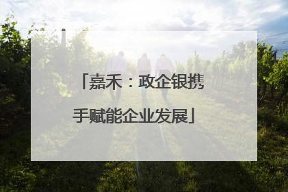 嘉禾：政企银携手赋能企业发展
