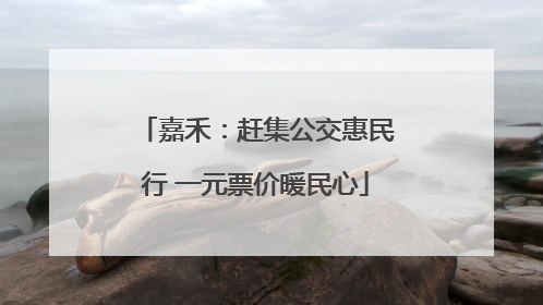 嘉禾：赶集公交惠民行 一元票价暖民心