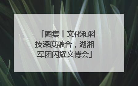 图集丨文化和科技深度融合，湖湘军团闪耀文博会