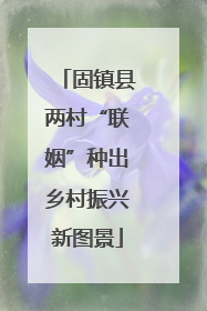 固镇县两村“联姻”种出乡村振兴新图景