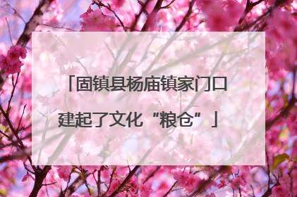 固镇县杨庙镇家门口建起了文化“粮仓”