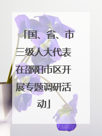 国、省、市三级人大代表在邵阳市区开展专题调研活动