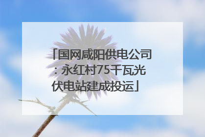 国网咸阳供电公司：永红村75千瓦光伏电站建成投运