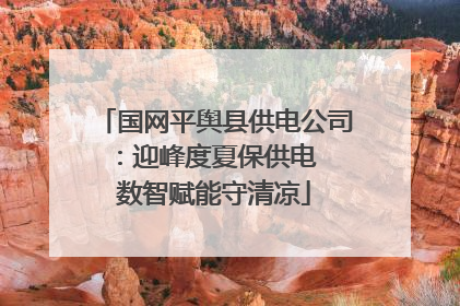 国网平舆县供电公司：迎峰度夏保供电  数智赋能守清凉
