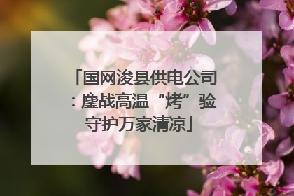 国网浚县供电公司：鏖战高温“烤”验 守护万家清凉
