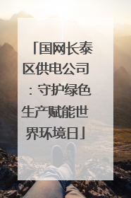 国网长泰区供电公司：守护绿色生产赋能世界环境日