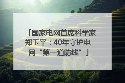 国家电网首席科学家郑玉平：40年守护电网“第一道防线”