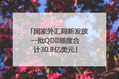 国家外汇局新发放一批QDII额度合计30.8亿美元