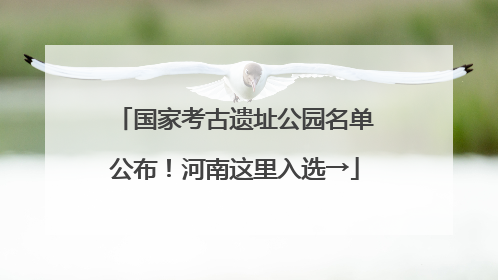 国家考古遗址公园名单公布！河南这里入选→