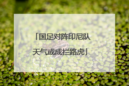 国足对阵印尼队 天气或成拦路虎