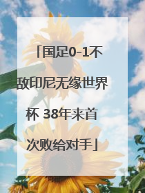 国足0-1不敌印尼无缘世界杯 38年来首次败给对手