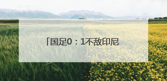 国足0：1不敌印尼 无缘2026年世界杯