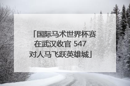 国际马术世界杯赛在武汉收官 547对人马飞跃英雄城