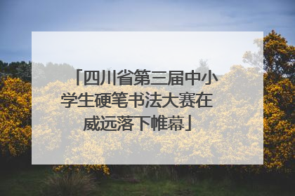 四川省第三届中小学生硬笔书法大赛在威远落下帷幕