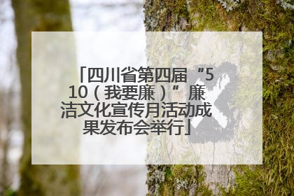 四川省第四届“510（我要廉）”廉洁文化宣传月活动成果发布会举行