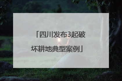 四川发布3起破坏耕地典型案例