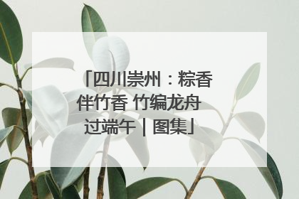 四川崇州：粽香伴竹香 竹编龙舟过端午｜图集